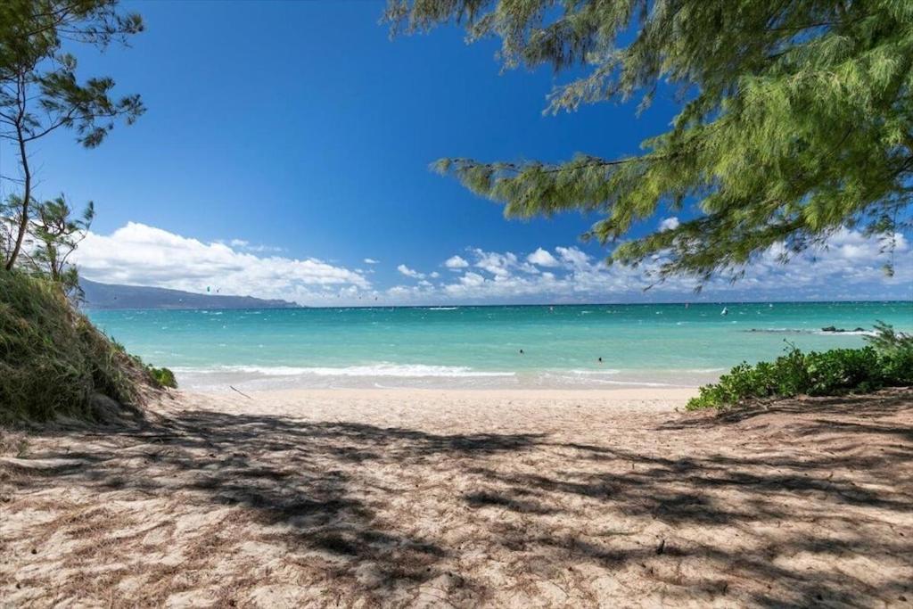 Unit 7 Maui Ohana Modern Studio Wailuku Екстериор снимка
